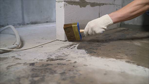 SJ Waterproofing Pros Waterproofing coverage map for Carthage, TN and surrounding area